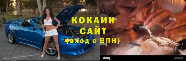 индика Вяземский