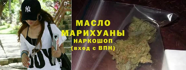 индика Вяземский