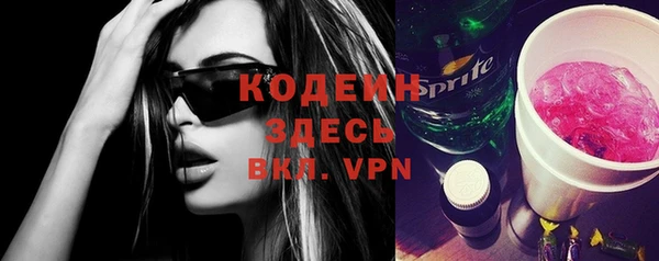индика Вяземский