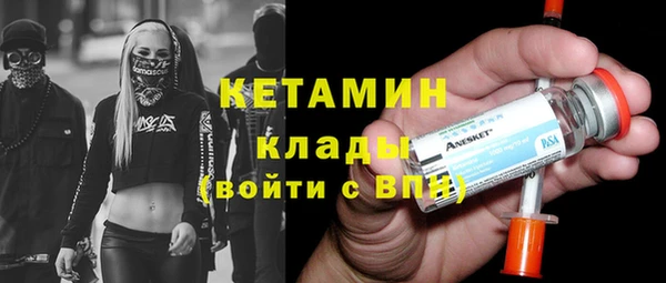 индика Вяземский
