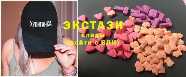 индика Вяземский