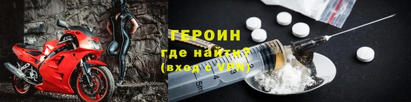 индика Вяземский