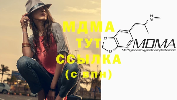 индика Вяземский