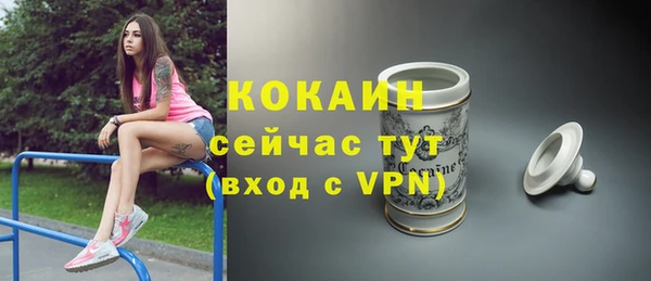 индика Вяземский