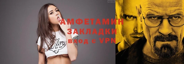 индика Вяземский