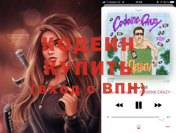 индика Вяземский