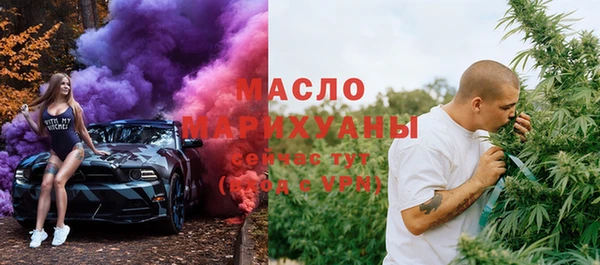 индика Вяземский