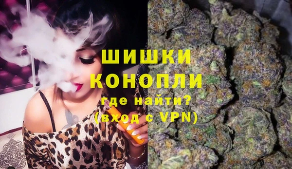 индика Вяземский