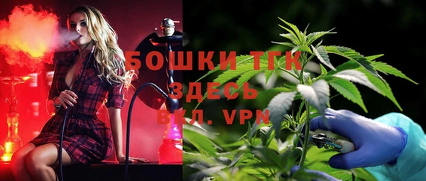 индика Вяземский