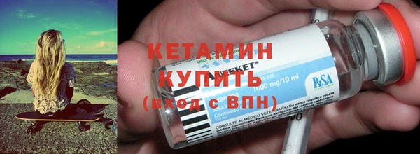 индика Вяземский