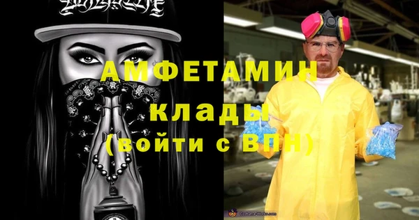 индика Вяземский