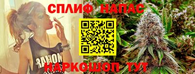 стаф Гатчина