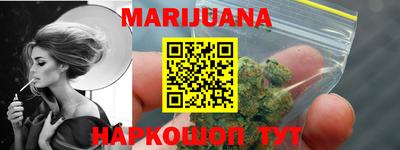 стаф Гатчина