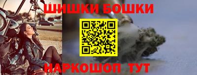 стаф Гатчина
