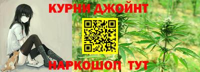 стаф Гатчина
