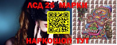 стаф Гатчина
