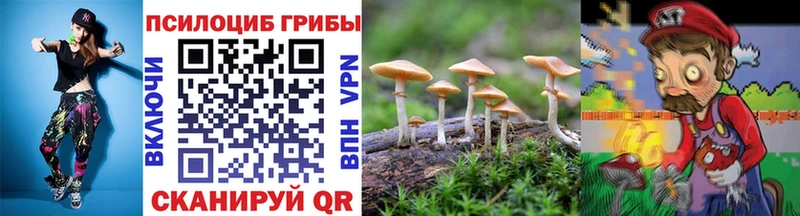 Псилоцибиновые грибы Cubensis  закладки  Малоярославец 