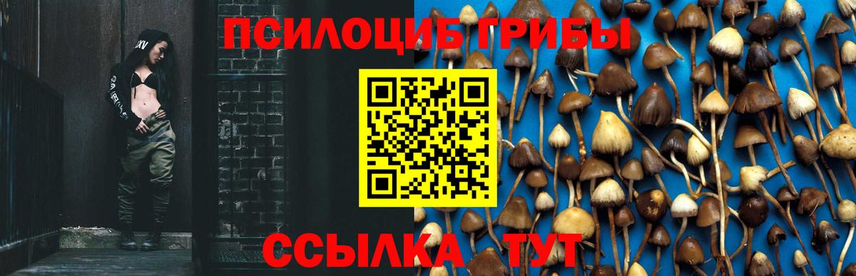 Галлюциногенные грибы мухоморы Малоярославец