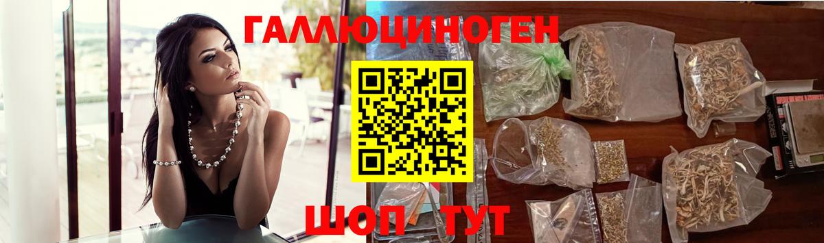 Галлюциногенные грибы Cubensis Малоярославец