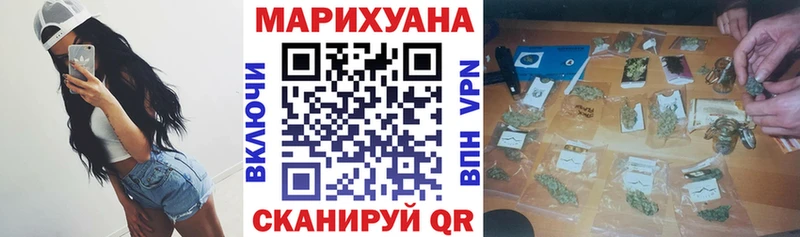 наркотики  Малоярославец  Конопля сатива 