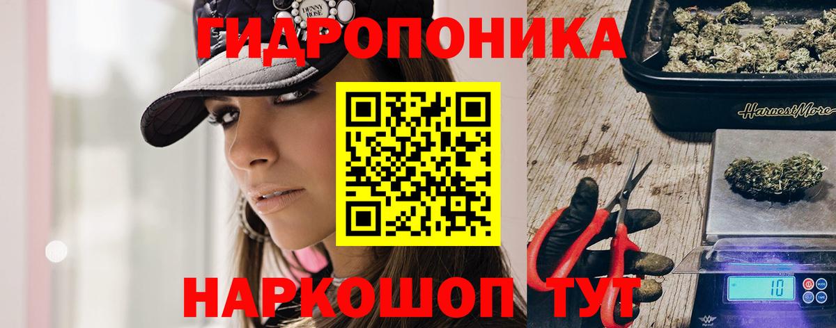 Малоярославец  Бошки Шишки гибрид  Вход с VPN  Бошки Шишки семена  Марихуана White Widow  Марихуана конопля 